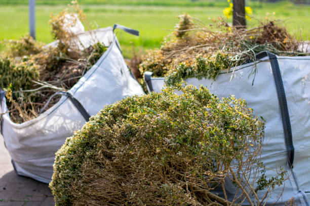 Best Commercial Junk Removal  in Mount Healthy, OH